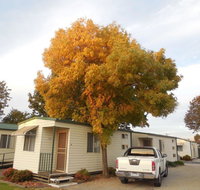 Wodonga Caravan  Cabin Park - Accommodation Gold Coast