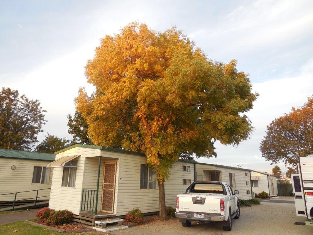 Wodonga VIC Accommodation Gold Coast
