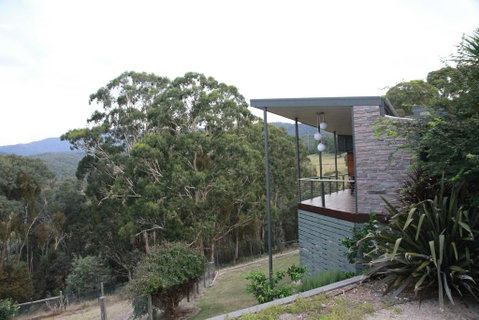 Woollybutt - Accommodation Gold Coast 0