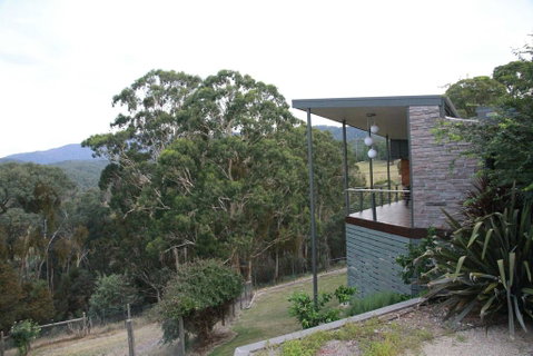 Woollybutt - Accommodation Gold Coast 3