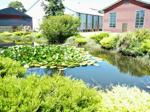 Yarragon Dairy Family Room - Accommodation Gold Coast 1