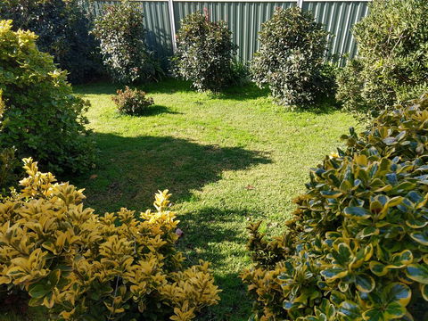 Young Goldrush Motel - Accommodation Gold Coast 3