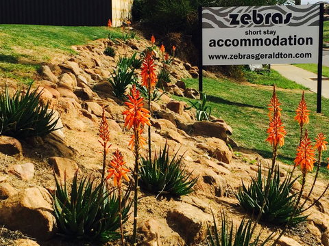 Zebras Guest House Geraldton - Accommodation Gold Coast 2