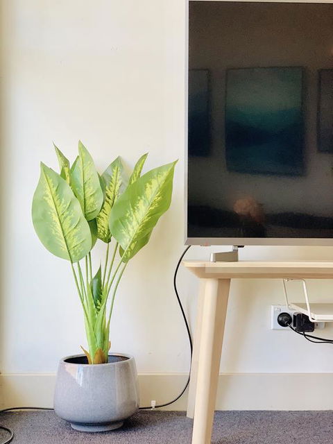 ZEN Homes On Collins - Accommodation Gold Coast 3