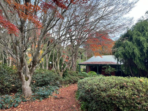 Amaroo Guesthouse - 1 Gold Coast 1