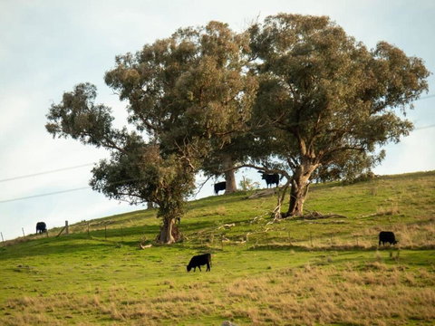 Back Station Creek Retreat By Tiny Away - Accommodation Gold Coast 2