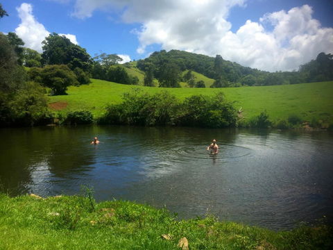 Maleny Springs Farm - Accommodation Gold Coast 34