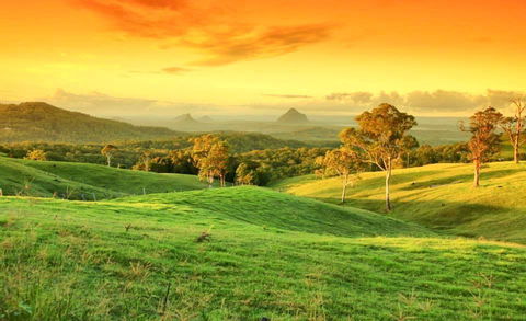 Maleny Springs Farm - Accommodation Gold Coast 20
