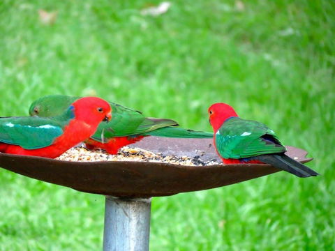 Maleny Springs Farm - Accommodation Gold Coast 35