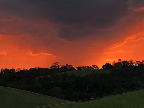 Maleny Springs Farm - Accommodation Gold Coast 6