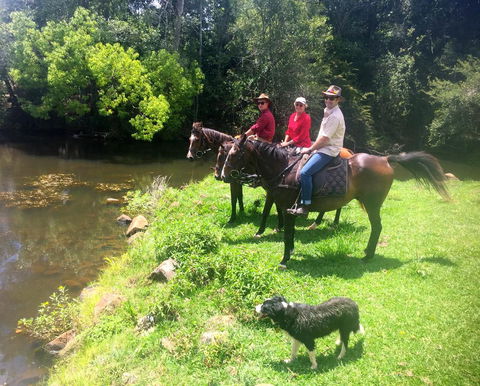 Maleny Springs Farm - Accommodation Gold Coast 33