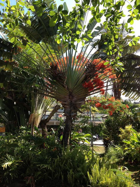 Port Douglas Apartments - Adults Only Oasis - Accommodation Gold Coast 39