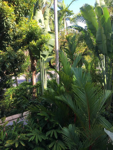 Port Douglas Apartments - Adults Only Oasis - Accommodation Gold Coast 1