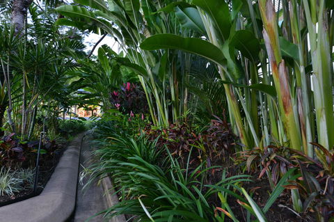 Port Douglas Apartments - Adults Only Oasis - Accommodation Gold Coast 9