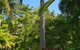 Cassawong Cottages - thumb 16
