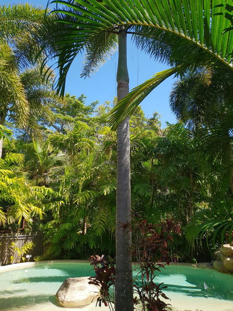 Cassawong Cottages - Accommodation Gold Coast 16