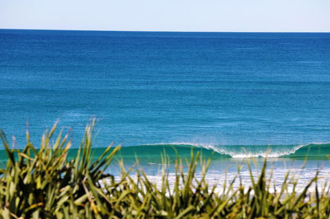 Lotus Retreat - Accommodation Gold Coast 7