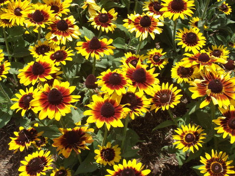 Eastgate On The Range Motel - Accommodation Gold Coast 16