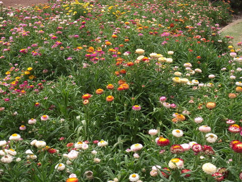 Eastgate On The Range Motel - Accommodation Gold Coast 37