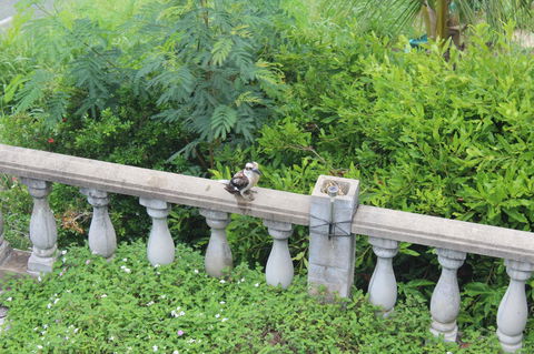 Whitsunday Moorings B&B - 1 Gold Coast 3