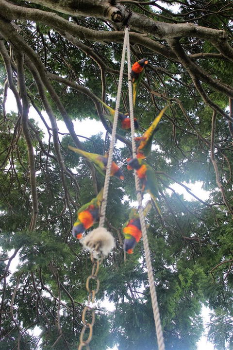 Whitsunday Moorings B&B - 1 Gold Coast 6