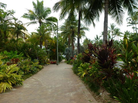 Martinique On Macrossan - Accommodation Gold Coast 22