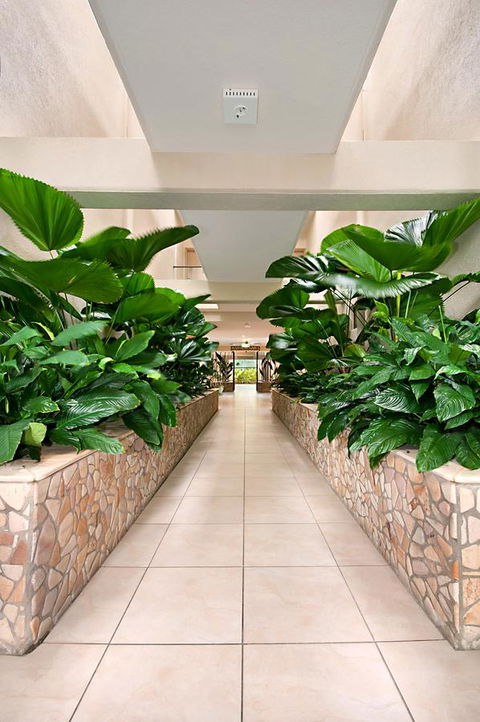 Shantara Resort Port Douglas - Adults Only Retreat - Accommodation Gold Coast 27