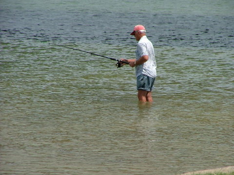 Lowset, Pet Friendly Cottage - Sunset Ave, Bongaree - 1 Gold Coast 9