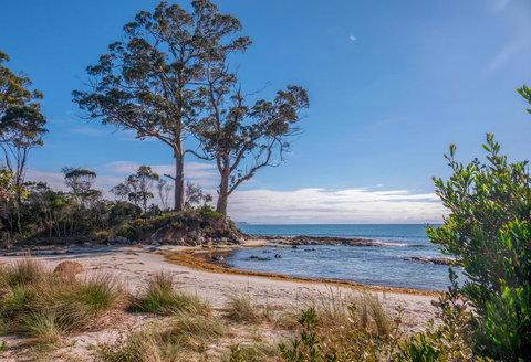 Adventure Bay Holiday Home - Accommodation Gold Coast 12