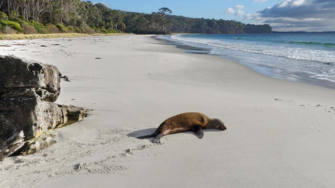 Adventure Bay Holiday Home - Accommodation Gold Coast 13