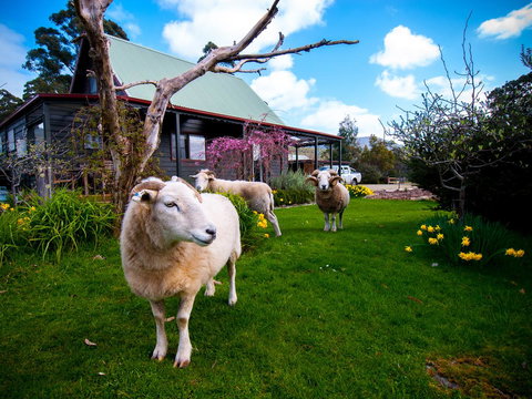 Parnella Adventure Bay, Bruny Island - Accommodation Gold Coast 19