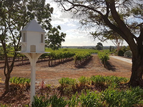 'In The Vines' Guest Cottage, Barossa Valley - Gold Coast 4U 0