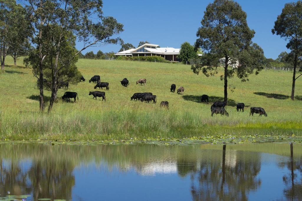Markwell NSW Accommodation Gold Coast