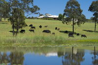 Book Nabiac Accommodation Vacations Accommodation Gold Coast Accommodation Gold Coast