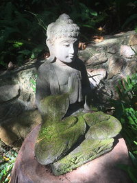 Book Coolum Accommodation Vacations Accommodation Gold Coast Accommodation Gold Coast