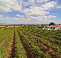 1837 Barossa Luxury Vineyard Cottages - Gold Coast 4U