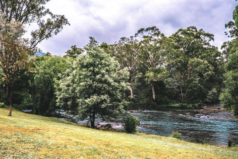 BIG4 Breeze Holiday Parks - Eildon - Accommodation Gold Coast 0