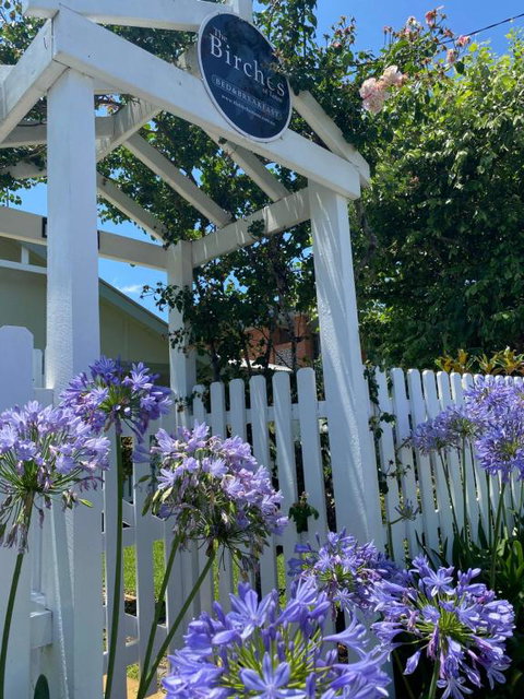 BIRCHES B&B - Accommodation Gold Coast 3