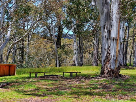 Cabin 3 - Snowy Accommodation - Accommodation Gold Coast 4