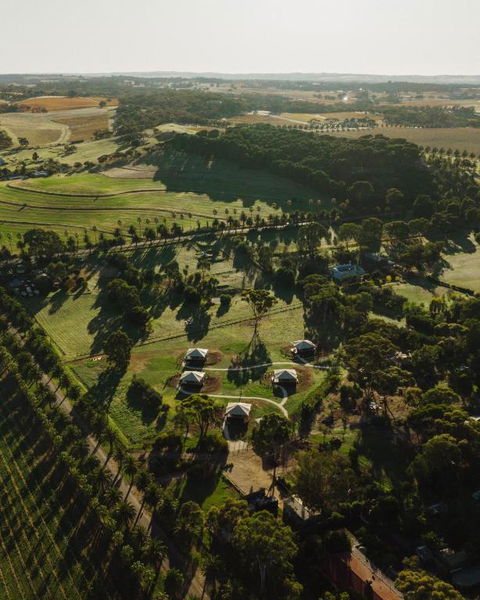 CANVS By CABN Seppeltsfield Barossa - Accommodation Gold Coast 1
