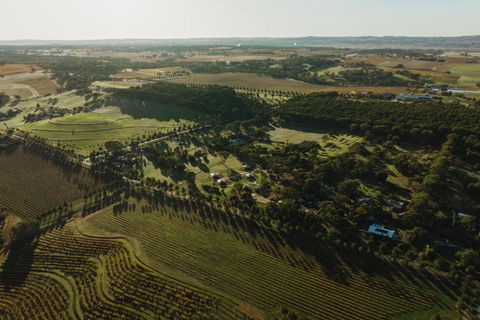 CANVS By CABN Seppeltsfield Barossa - Accommodation Gold Coast 2