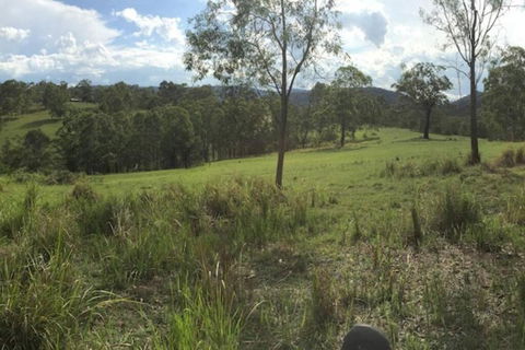 Charity Creek Retreat - Gold Coast 4U 2