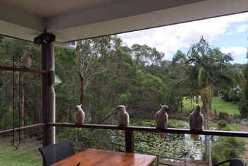 449 with Accommodation Gold Coast
