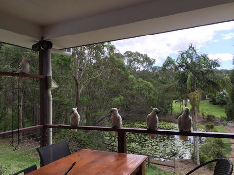 449 - Accommodation Gold Coast 0