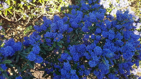 505 CONROD STRAIGHT MOUNT PANORAMA - Accommodation Gold Coast 2