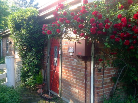 A Country Barn Retreat - Accommodation Gold Coast 2