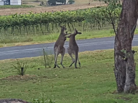 A Stanthorpe Getaway - Accommodation Gold Coast 3