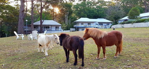 Aaronlee Retreat - 1 Gold Coast 2