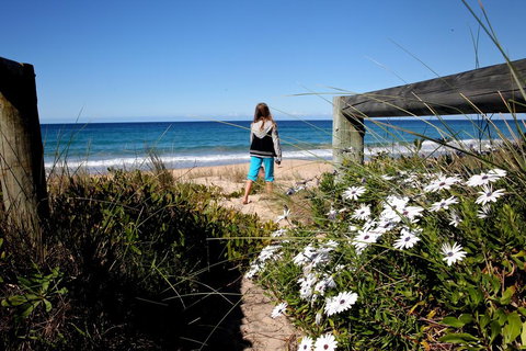 Absolute Beachfront Mollymook - 1 Gold Coast 3