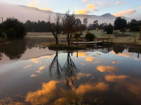 Acheron Acres Riverside - Accommodation Gold Coast 2